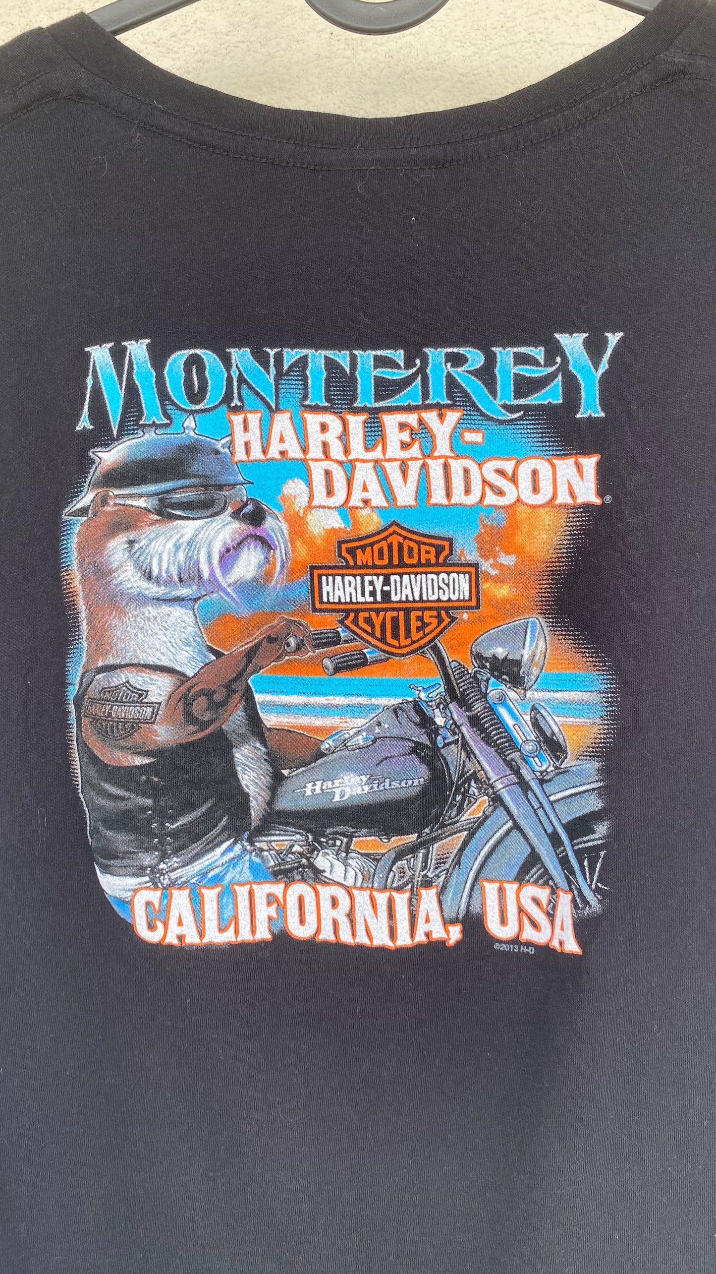 Vintage Harley Davidson Monterey v-neck shirt