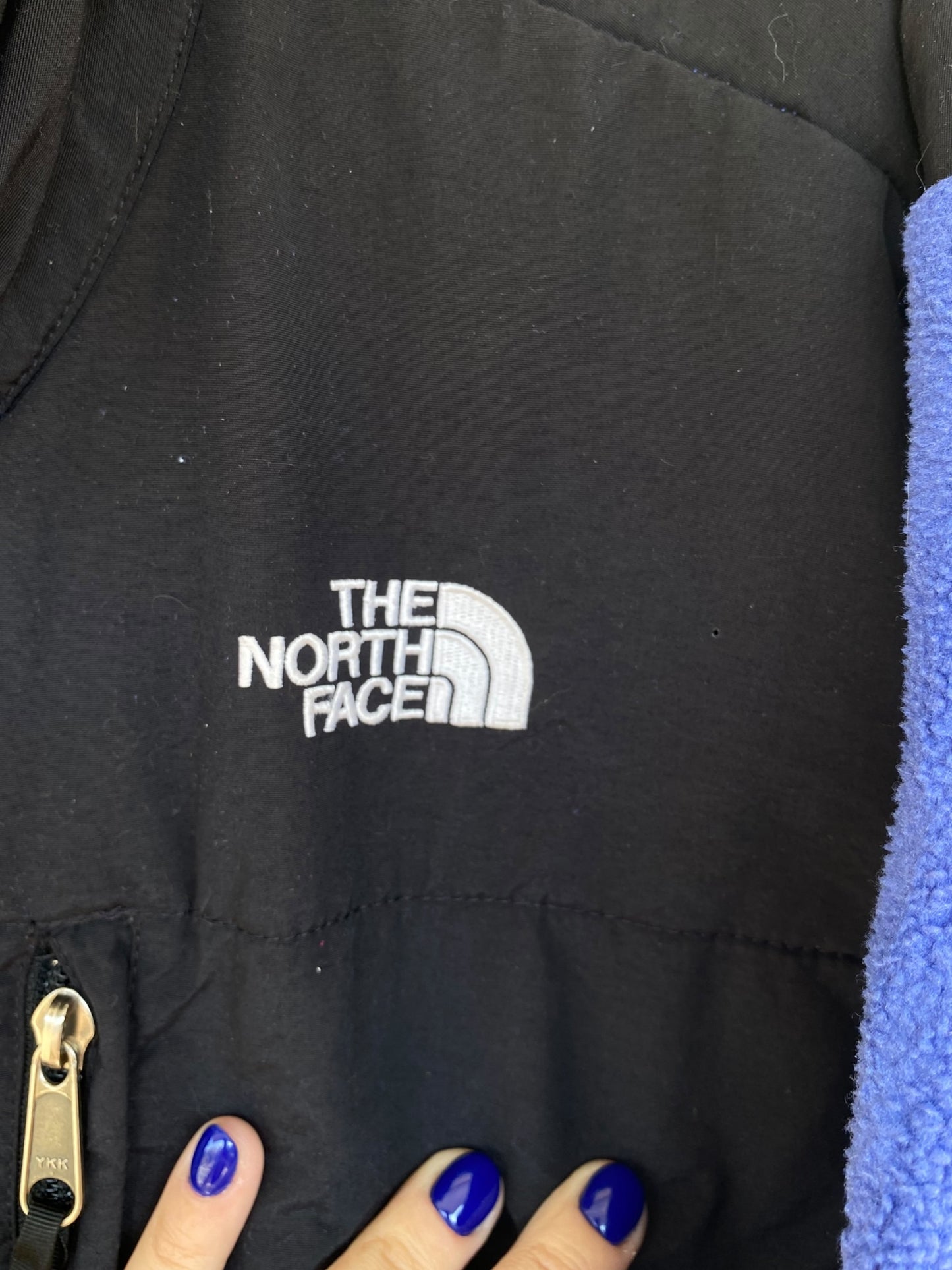 Blue the North Face Denali fleece